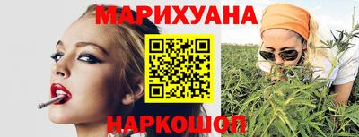 стаф Шелехов