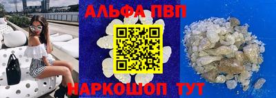 стаф Шелехов