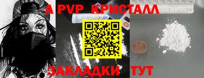 стаф Шелехов