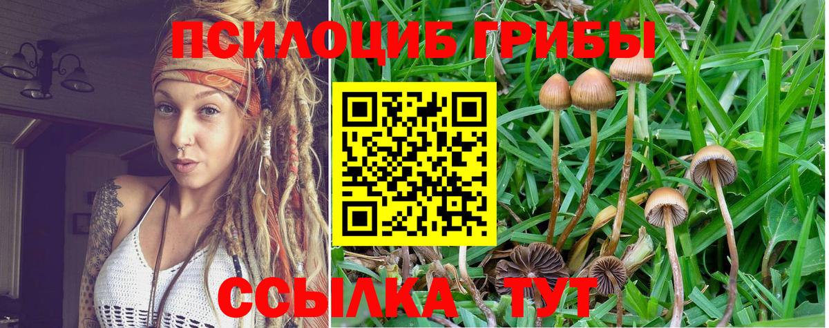 Псилоцибиновые грибы мицелий Бахчисарай