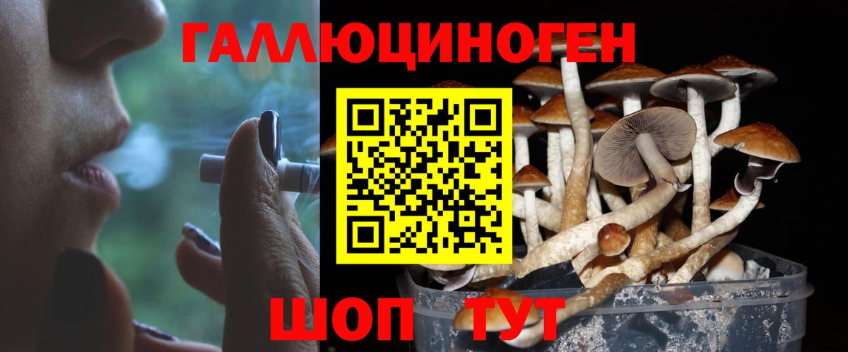 Псилоцибиновые грибы прущие грибы  Вход с VPN  Бахчисарай  Псилоцибиновые грибы Cubensis 
